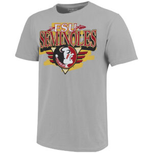 Image One Men's Vault FSU Seminoles/Seminole Logo Design Short Sleeve Soft Washed T-shirt - Silver