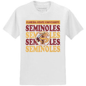 Homefield Men's Vault Florida State Seminoles/Interlocking FS Feather Design Short Sleeve T-shirt - White